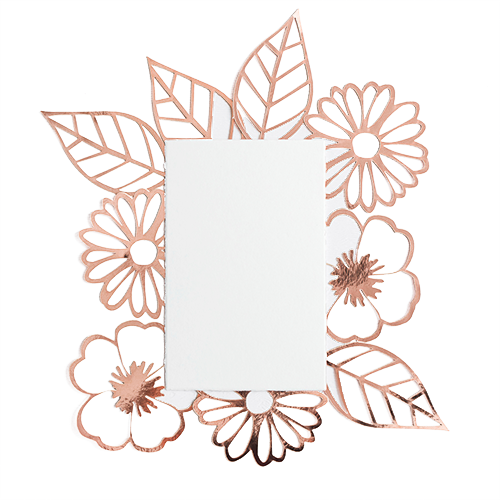 Desechables y consumibles